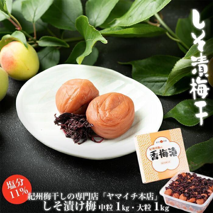 【ふるさと納税】しそ漬け梅　１kg（ポリ容器入り） | ふるさと 納税 和歌山県 和歌山 白浜町 梅干し 梅干 梅 うめ ご飯のお供 ごはんのおとも ごはんのお供 ご飯のおとも お取り寄せ お土産 ギフト 贈り物 プレゼント しそ梅 しそ梅干し 漬け物 おつまみ ウメ 酒の肴