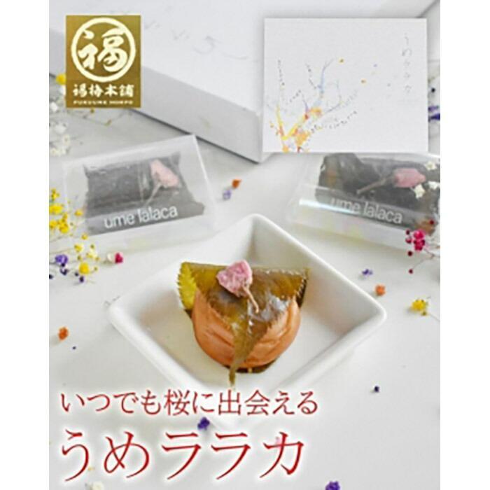 【ふるさと納税】紀州南高梅 うめララカ 桜葉と桜花を添えて【ギフト 化粧箱入り 贈答用】 | 梅干 食品 加工食品 人気 おすすめ 送料無料|和歌山県白浜町
