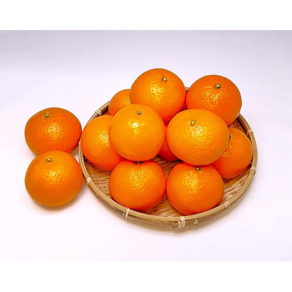【ふるさと納税】清見オレンジ 5kg　L～3Lサイズ　サイズおまかせ | フルーツ 果物 くだもの 食品 人気 おすすめ 送料無料