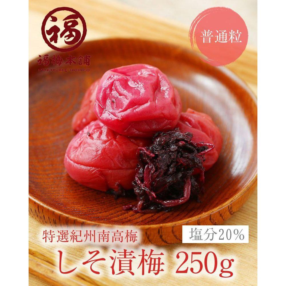 【ふるさと納税】紀州南高梅 しそ漬250g×4パック（塩分約20％）昔ながらの酸っぱい梅干 | 白浜町 和歌山 梅干し しそ漬け 梅干 昔ながらの梅干し うめ 梅 酸っぱい梅干し お土産 漬物 漬け物 ご飯のお供 ごはんのおとも 南高梅 紀州梅 紀州梅干し ご飯のおとも 17,250円