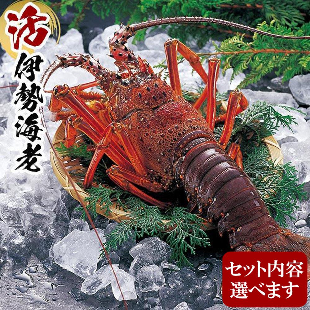 【ふるさと納税】活 伊勢海老  産地直送 | 楽天ふるさと 納税 和歌山 白浜町 伊勢海老 海老 えび エビ お取り寄せグルメ 海鮮 お土産 プレゼント ギフト 伊勢エビ 食品 食べ物 高級 海の幸 おつまみ つまみ 酒の肴 酒のつまみ イセエビ 産直