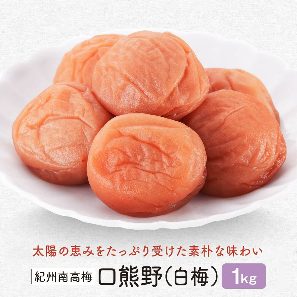 【ふるさと納税】紀州南高梅 口熊野(白梅)1kg 塩分約22% | 白浜町 紀州南高梅 白梅 口熊野 昔ながらの梅干し 和歌山産 人気 おすすめ ご飯のお供 保存食 お取り寄せ 送料無料 ふるさと納税|和歌山県白浜町