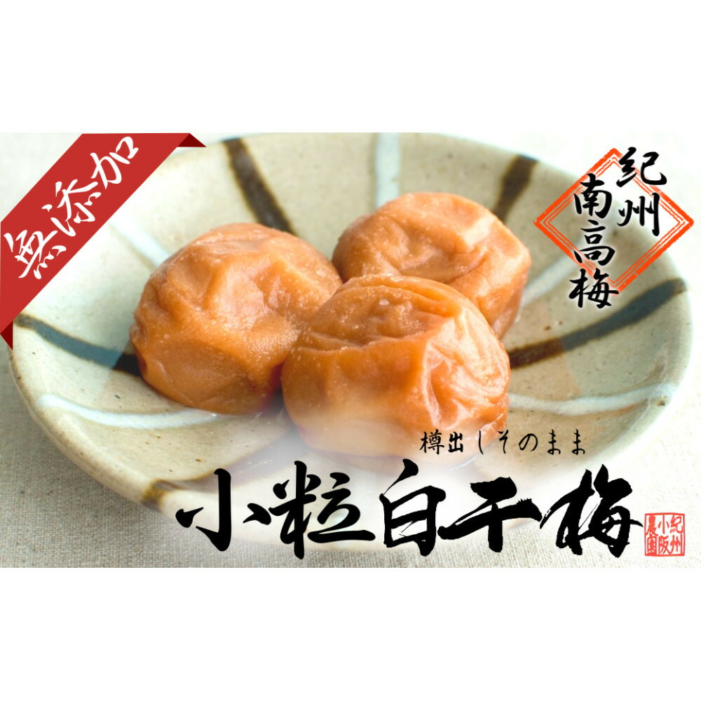 【ふるさと納税】無添加  白干梅（小粒450g）紀州南高梅【梅農家厳選　手づくり梅干】
