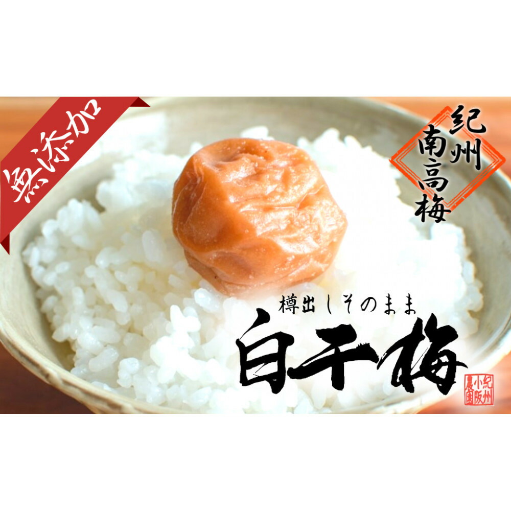 【ふるさと納税】無添加　白干梅　(2L～3Lサイズ、800g）紀州南高梅　【梅農家厳選　手づくり梅干】 | 和歌山県 白浜町 和歌山 取り寄せ お取り寄せ グルメ お取り寄せグルメ ご当地 ご当地グルメ 梅 うめ ウメ 梅干 梅干し 漬け物 漬物 紀州 紀州梅干し