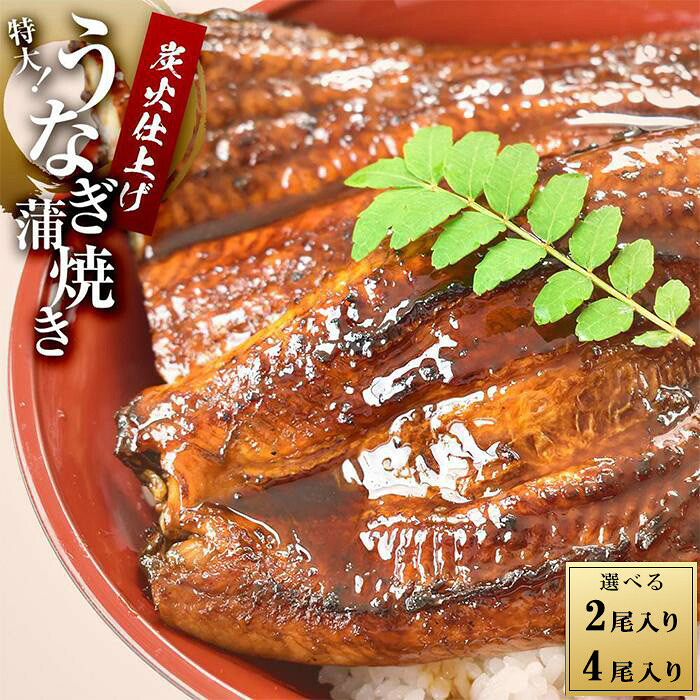 【ふるさと納税】うなぎ蒲焼き(蒲焼たれ・ 山椒付き) | 白浜町 うなぎ蒲焼き タレ付き 山椒付き 人気 おすすめ 鰻 魚介加工品 ご飯のお供 和歌山産 ご当地グルメ お祝い料理 お取り寄せ 送料無料 ふるさと納税|和歌山県白浜町