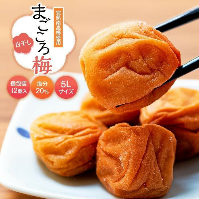 【ふるさと納税】まごころ梅 白干し 塩分20％ 5Lサイズ 個包装 １２個入り