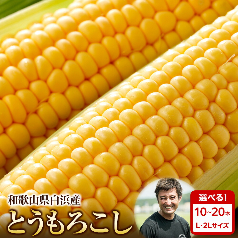 【ふるさと納税】【選べるサイズ／本数】［先行予約］しらはま農家 とうもろこし L／2Lサイズ 10~24本［2026年6月発送予定］ | コーン とうもろこし 和歌山 白浜 農作物 野菜 食品 人気 送料無料