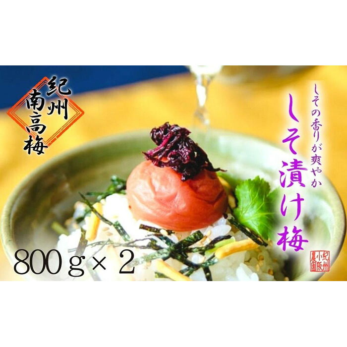 【ふるさと納税】しそ漬け梅 特選 (800g×2パック)紀州南高梅【梅農家手づくり梅干】 | 和歌山県 和歌山 白浜町 梅干し 梅干 梅 うめ 紀州梅干し 紀州梅 南高梅 ご飯のお供 ごはんのおとも ごはんのお供 ご飯のおとも お取り寄せ ウメ 漬け物 漬物 紀州|和歌山県白浜町
