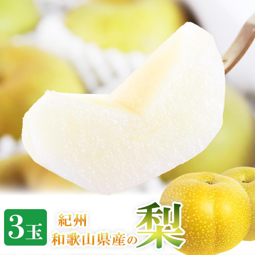 【ふるさと納税】梨 3玉 化粧箱入 紀州和歌山 かつらぎ産［2026年8月中旬以降発送予定］［UT98］