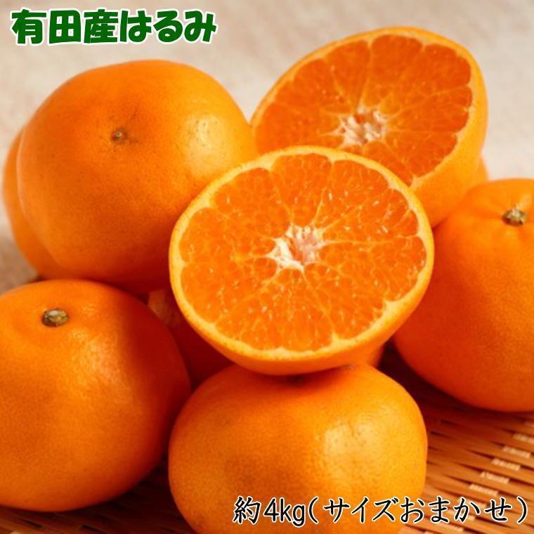 【ふるさと納税】［厳選・濃厚］紀州有田産のはるみ約4kg(サイズおまかせ) ★2027年1月下旬頃より順次発送［TM27］ | 和歌山 返礼品 支援 お取り寄せ ご当地 みかん ミカン はるみ 特産品 名産品 果物 くだもの フルーツ 柑橘 果実 食品 食べ物 ふるさと 農産物｜和歌山県上富田町