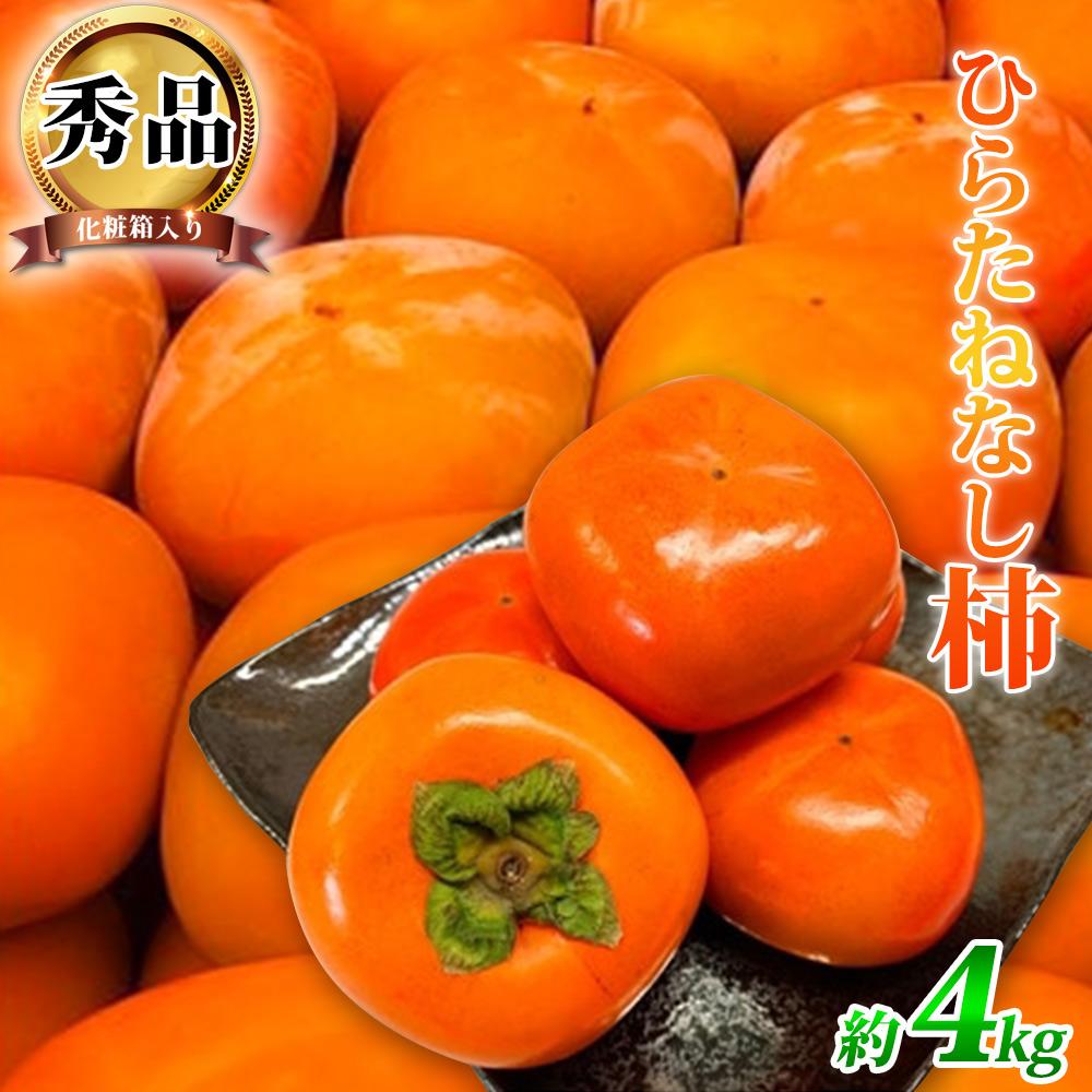【ふるさと納税】和歌山秋の味覚 平核無柿（ひらたねなしがき） 約４ｋｇ 化粧箱入 | 和歌山 和歌山県 上富田町 返礼品 支援 お取り寄せ ご当地 お土産 柿 かき カキ 特産品 名産品 果物 くだもの フルーツ たねなし 種無し 食品 楽天ふるさと 納税 農産物