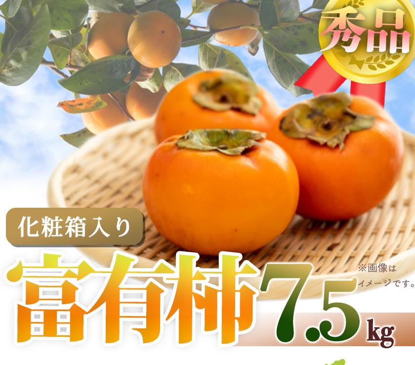 【ふるさと納税】和歌山秋の味覚　富有柿　約７．５ｋｇ「2025年11月上旬以降発送予定」【UT48】 |  柿 かき カキ 特産品 名産品 果物 くだもの フルーツ 食品 美味しい おいしい お礼の品
