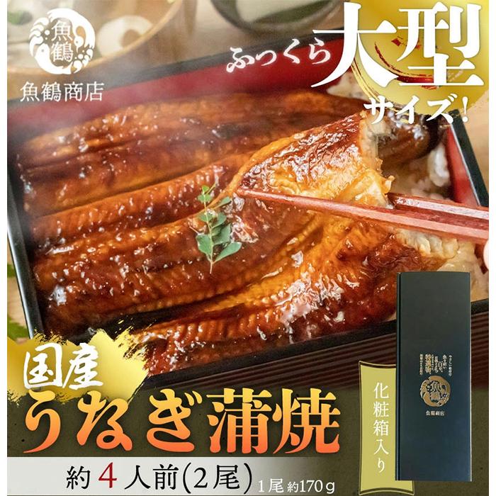 【ふるさと納税】大型サイズ　ふっくら柔らか　国産うなぎ蒲焼き　2尾　化粧箱入［春土用の丑の日のうなぎ］［～4月21日までにお届け］［UT05］ | 鰻 魚介類 水産 食品 人気 おすすめ 送料無料