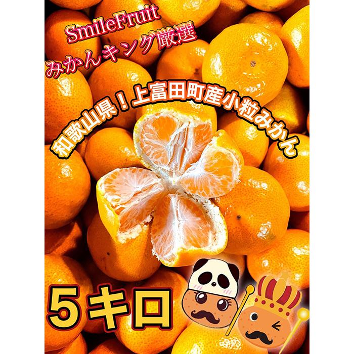 【ふるさと納税】【先行予約】小粒みかん5kg　高糖度！みかんの里！【SmileFruitみかんキング厳選】2025年10月下旬以降順次発送 | 果物 くだもの フルーツ 旬の果物 旬の味覚 食べ物 食品 柑橘 柑橘類 かんきつ類 みかん ミカン 蜜柑 お取り寄せ 美味しい おいしい