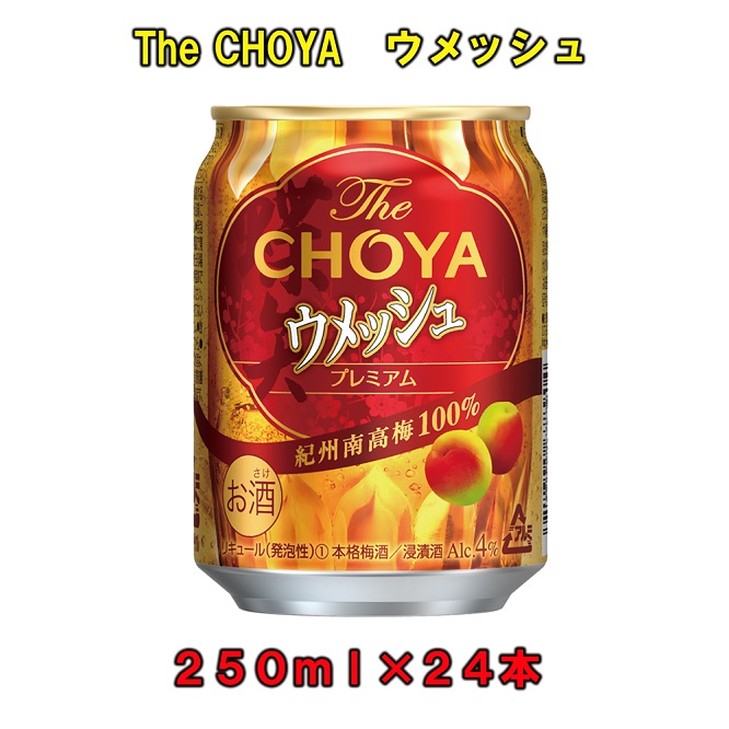 【ふるさと納税】The CHOYAウメッシュ 250ml×１ケース（２４本） | 上富田町 チョーヤ ウメッシュ 梅炭酸飲料 ノンアルコール 人気 おすすめ 梅ジュース 炭酸 飲み物 和歌山県産 お取り寄せ 送料無料 ふるさと納税