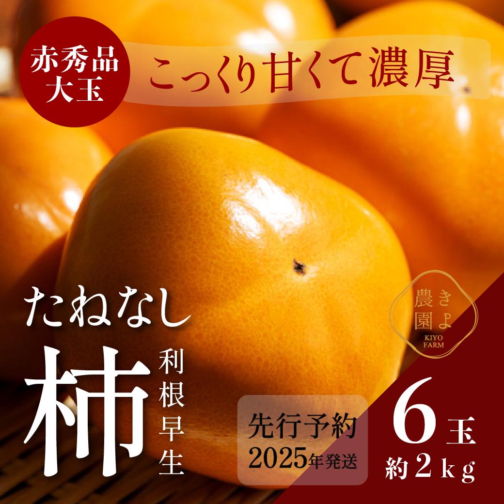 【ふるさと納税】柿(種無し) 6個入 (約2kg)  秀品大玉【2025年9月下旬頃より発送】【KT1】 | 柿 かき フルーツ 果物 くだもの 食品 人気 おすすめ 送料無料