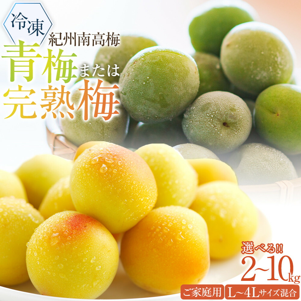 【ふるさと納税】冷凍 紀州南高梅 青梅 or 完熟梅   約2kg~10kg  L～4Lサイズ混合 ご家庭用 | 南高梅 冷凍梅 梅ジュース 送料無料 和歌山産 完熟 紀州梅 和歌山 梅酒 梅酒用 国産 梅の実 うめ シロップ