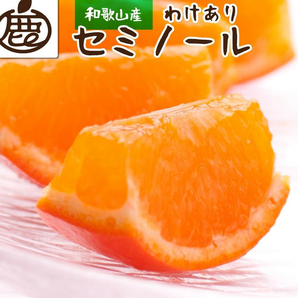 【ふるさと納税】【選べる容量】［先行予約］ 家庭用 セミノール オレンジ 2.5～10kg+250g（傷み補償分）［春みかん］［訳あり］［光センサー食べ頃出荷］ | フルーツ 果物 くだもの 食品 人気 おすすめ 送料無料 有田の春みかん