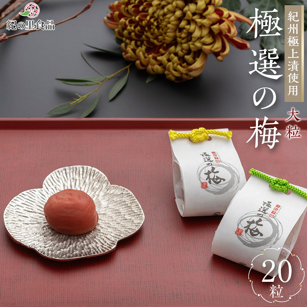 【ふるさと納税】極選の梅 木箱 1箱20粒入り ［Kn12］ | 梅干し 梅干 和歌山 和歌山県 お取り寄せ 取り寄せ うめ 梅 ご当地 お土産 ご飯のお供 ご飯のおとも ごはんのお供 ご飯の友 ごはんのおとも 支援 上富田町 返礼品 うめぼし ウメ おにぎり 具 おにぎりの具 グルメ