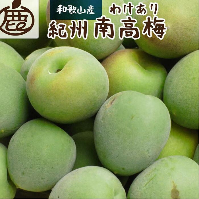 【ふるさと納税】【選べる容量】家庭用 紀州南高梅(青梅) 1～5kg+250g（傷み補償分）【梅干し・梅ジュース】【訳あり】 ［IKE111］ | フルーツ 果物 くだもの 食品 人気 おすすめ 送料無料 梅干し 梅ジュース