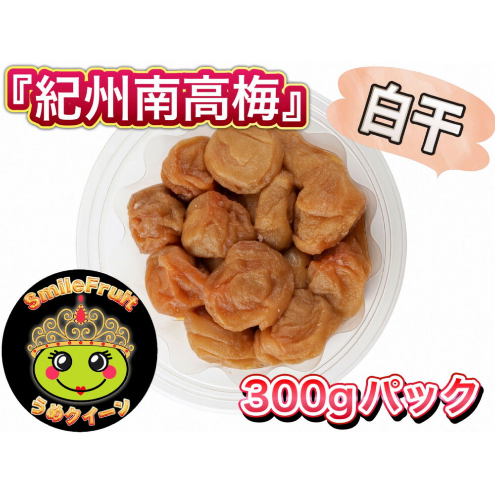 【ふるさと納税】【選べる】紀州南高梅 白干し／ 小梅白干し ／紀州南高梅 白干しと小梅白干しセット | 梅干し 梅 加工品 食品 人気 おすすめ 送料無料