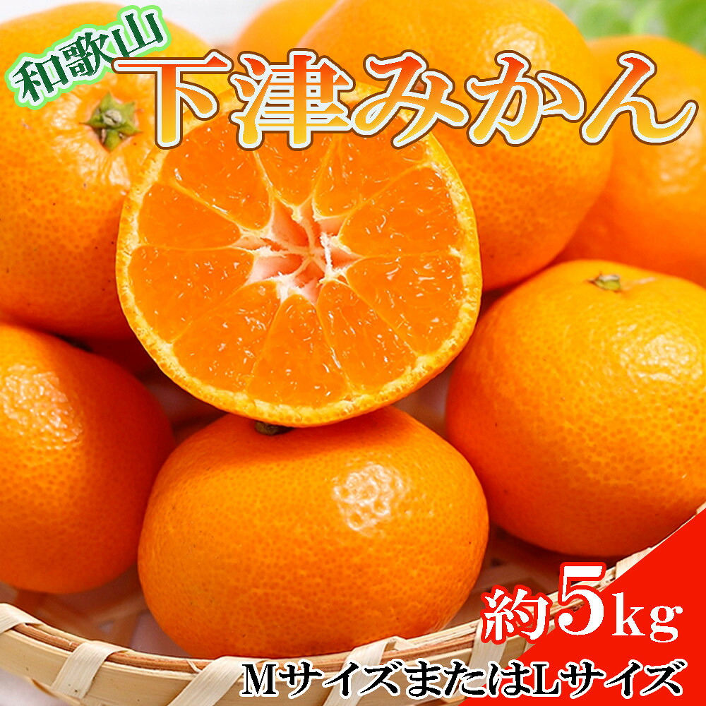 【ふるさと納税】［産直・秀品］和歌山下津みかん約5kg(MサイズまたはLサイズのいずれかをお届け) ★2026年11月中旬頃より順次発送［TM74］｜和歌山県上富田町