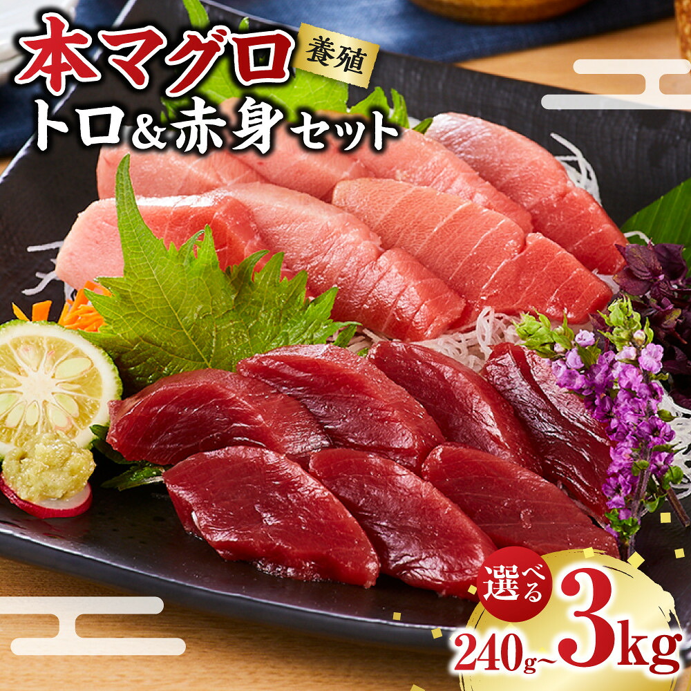 【ふるさと納税】［選べる内容量／240g・500g・1kg・3kg ］本マグロ（養殖）トロ＆赤身セット | 和歌山県 和歌山 上富田町 本マグロ 本まぐろ マグロ まぐろ 鮪 海鮮 食べ比べセット 食べ比べ マグロ丼 寿司ネタ お取り寄せグルメ｜和歌山県上富田町