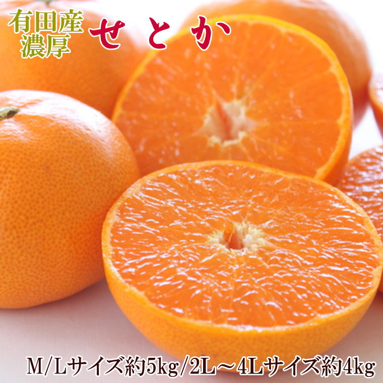 【ふるさと納税】一度は食べていただきたい「有田産のせとか」約4～5kg（サイズおまかせ）★2026年2月中旬頃より順次発送［TM138］ | 和歌山 和歌山県 上富田町 返礼品 支援 お取り寄せ ご当地 お土産 みかん ミカン 特産品 名産品 果物 くだもの フルーツ 柑橘 柑橘類