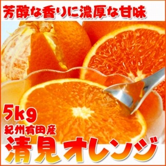 【ふるさと納税】とにかくジューシー清見オレンジ　5kg［2026年3月下旬以降発送］［先行予約］［UT53］ | 和歌山 上富田町 返礼品 お取り寄せ ご当地 清見オレンジ 清見 オレンジ みかん ミカン 特産品 フルーツ 柑橘 柑橘類