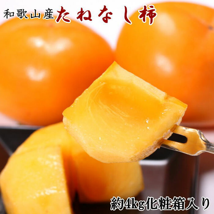 日本最大のブランド 先行予約 和歌山産のたねなし柿2L〜4Lサイズ約4kg 化粧箱入り ふるさと 納税 和歌山県 和歌山 上富田町 柿 かき カキ  果物 フルーツ くだもの 果実 お取り寄せ 食べ物 食品 たべもの 特産品 ご当地 美味しい おいしい 旬の果物 fucoa.cl