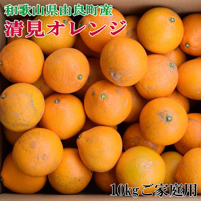 【ふるさと納税】［訳あり・ご家庭用］和歌山由良町産の濃厚清見オレンジ約10kg★2026年2月中旬頃より順次発送［TM132］ | 楽天ふるさと 納税 和歌山県 和歌山 上富田町 清見オレンジ オレンジ 果物 フルーツ  かんきつ類 お取り寄せ 旬の果物