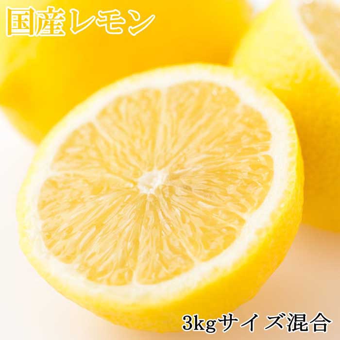 【ふるさと納税】【産直】和歌山産レモン約3kg（サイズ混合）★2025年3月中旬頃より順次発送【TM150】 | 和歌山 和歌山県 上富田町 返礼品 支援 お取り寄せ ご当地 お土産 レモン くだもの フルーツ 柑橘 柑橘類 果実 名産品 特産品 食品 食べ物 お礼の品  農産物