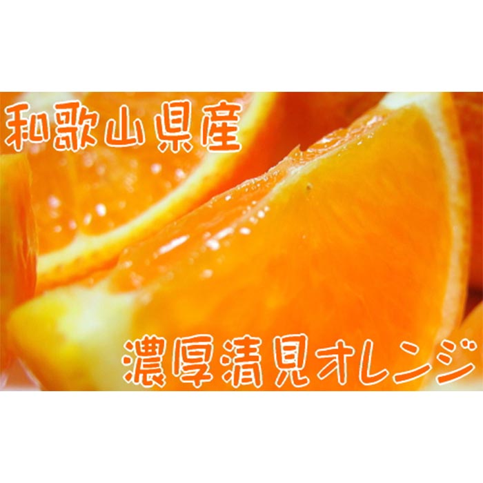 楽天市場】【ふるさと納税】＜1月より発送＞たっぷり訳あり完熟有田みかん6kg+180g（傷み補償分）【わけあり・訳あり】【光センサー選果】 | 楽天ふるさと  納税 和歌山県 和歌山 上富田町 みかん ミカン 果物 フルーツ くだもの 柑橘類 柑橘 かんきつ かんきつ類 蜜柑 ...