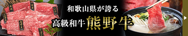 楽天市場】【ふるさと納税】あんぽ柿 70g×10個 | あんぽ柿 あんぽがき