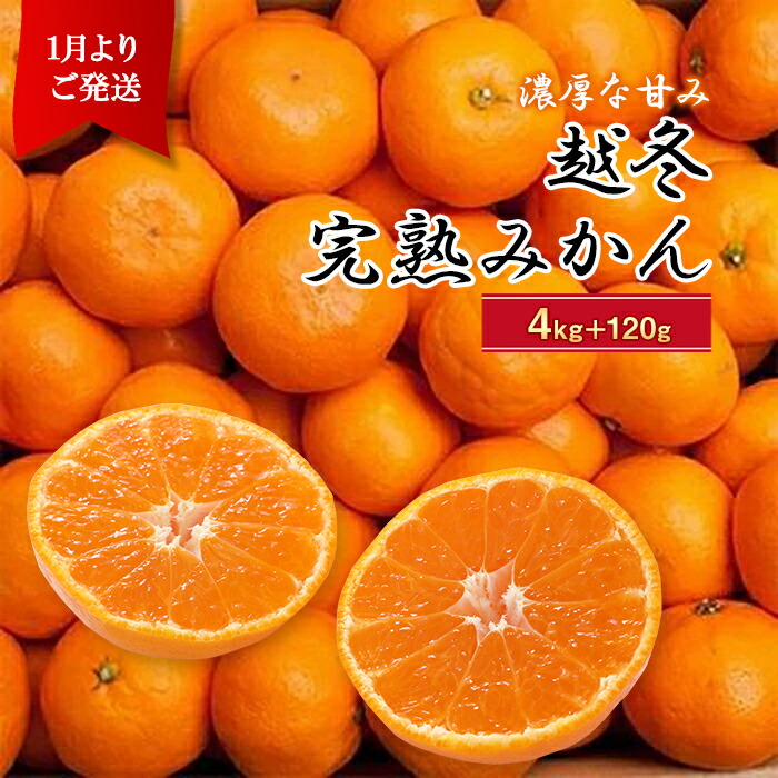 登場! 厳選 越冬完熟みかん4kg 120g 傷み補償分 ふるさと 納税 和歌山県 和歌山 上富田町 みかん ミカン 蜜柑 果物 フルーツ くだもの  果実 柑橘 かんきつ 柑橘類 かんきつ類 お取り寄せ 食べ物 食品 たべもの 特産品 fucoa.cl