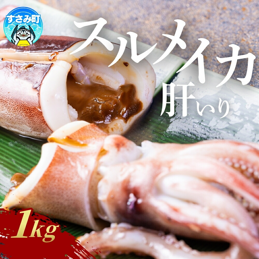 【ふるさと納税】 イカ すさみ町産 スルメイカ 肝いり 1kg｜和歌山県すさみ町