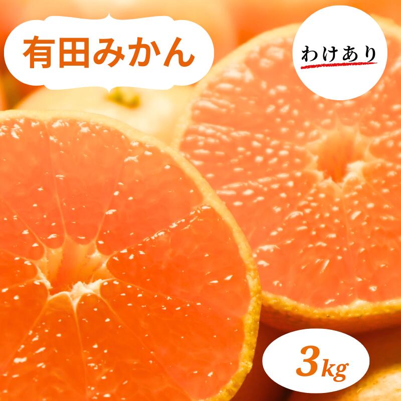 【ふるさと納税】和歌山県産 有田みかん 3kg 訳あり 家庭用 ※2026年10月中旬-2026年1月中旬頃に順次発送予定（お届け日指定不可)｜和歌山県すさみ町