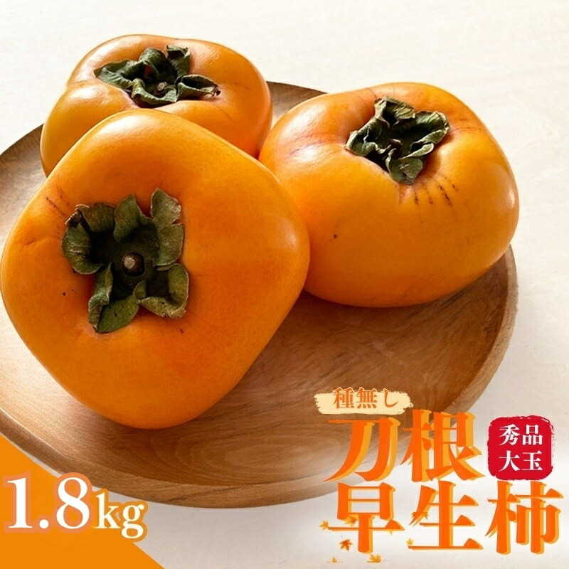 【ふるさと納税】【先行予約】種無し柿 刀根早生柿 秀品大玉 約1.8kg(6個) 2026年9月下旬~10月下旬頃に順次発送予定(お届け日指定不可)/ 柿 かき 種無し 秀品 大玉 フルーツ 果物 くだもの