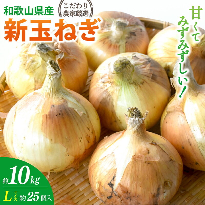【ふるさと納税】【先行予約】 和歌山県産 新玉ねぎ約10kg　Lサイズ 約25個入り こだわり農家厳選！【207年4月末頃～6月中旬に発送予定】人気 おすすめ 玉ねぎ スープ サラダ 国産 野菜 新鮮 ビッグサイズ 大きい BBQ｜和歌山県すさみ町