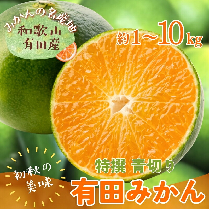 【ふるさと納税】【先行予約】【2026年9月中旬～10月上旬頃に順次発送予定】特撰　青切り有田みかん【選べる容量】1kg 3kg 5kg 10kg ※北海道・沖縄・離島配送不可 / みかん 柑橘 果物 フルーツ 和歌山