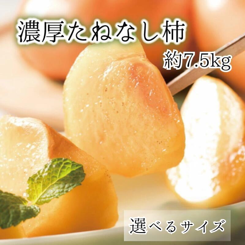 【ふるさと納税】【選べるサイズ】【和歌山ブランド】 濃厚たねなし柿　秀品  約7.5kg入り Mサイズ / L～4Lサイズ ※2025年10月上旬～11月上旬頃次発送予定 / 種なし 種無し タネなし 柿 フルーツ 果物 人気 旬 カキ タネ無しカキ くだもの