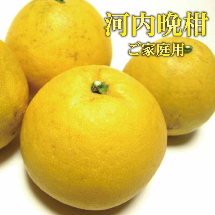 【ふるさと納税】 【【2025年4月中旬～6月下旬発送】【和製グレープフルーツ】 有田育ちの河内晩柑 (ご家庭用) 【選べる容量】1.7kg 3.5kg 7.5kg ※北海道・沖縄・離島配送不可 / みかん 和歌山 フルーツ 果物 柑橘 グレープフルーツ グレフル 有田みかん ミカン