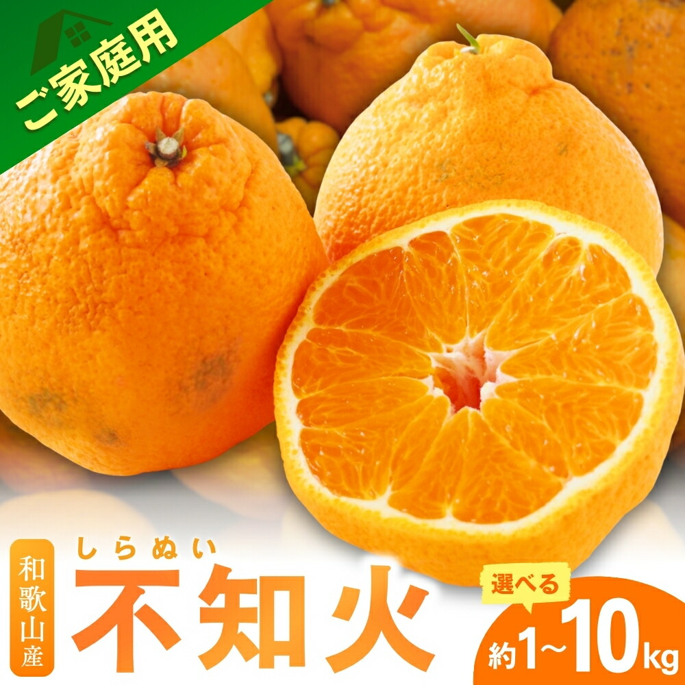 楽天市場】【ふるさと納税】【先行予約】 \光センサー選別 楽天市場】【ふるさと納税】【先行予約】 \光センサー選別