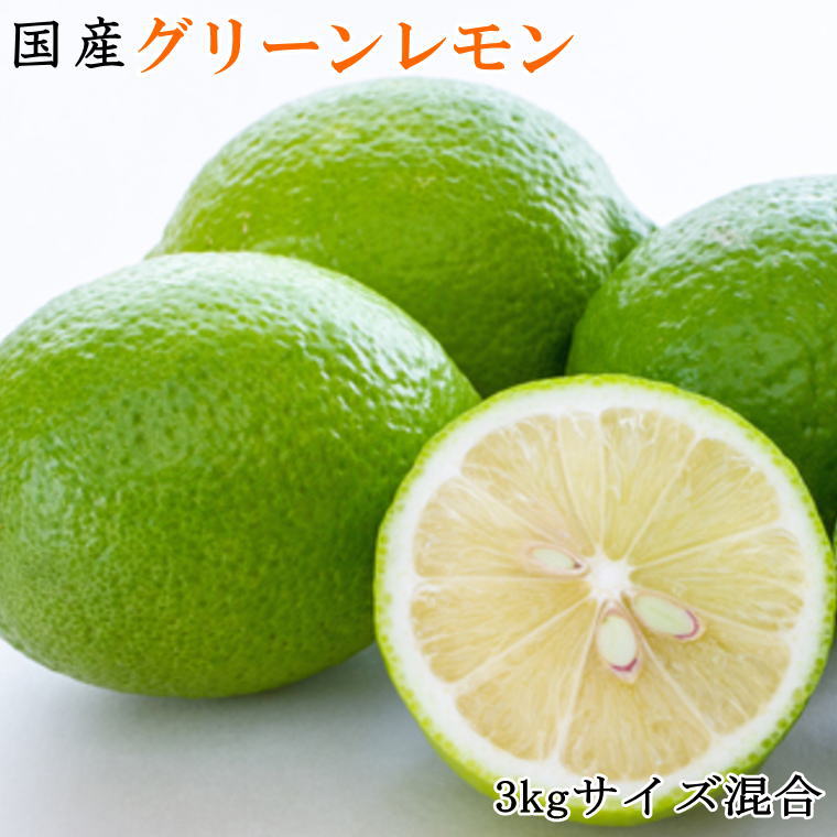 【ふるさと納税】【産直】和歌山産グリーンレモン約3kg（サイズ混合）※2025年10月中旬～2025年11月中旬頃に順次発送（お届け日指定不可）/ レモン 檸檬 れもん 果物 くだもの フルーツ 柑橘 和歌山 すさみ町