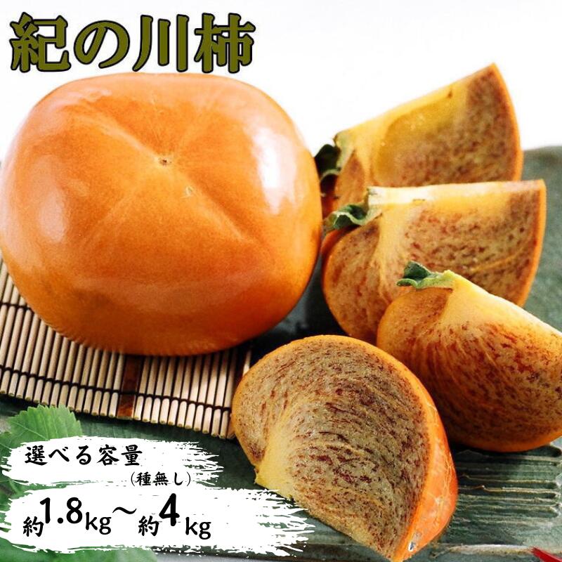 【ふるさと納税】【希少】紀の川柿(種無し) 秀品 【選べる容量】 約1.8～2kg  約3.5～4kg ※2025年10月中旬～2025年11月中旬頃に順次発送（お届け日指定不可）/ 柿 種無し柿 かき カキ 和歌山 フルーツ 果物 たねなし柿