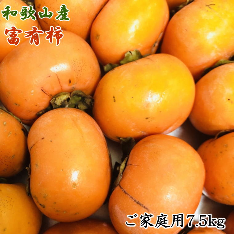 和歌山産富有柿ご家庭用約7.5kg※2022年10月下旬より順次発送 お届け日指定不可 入手困難