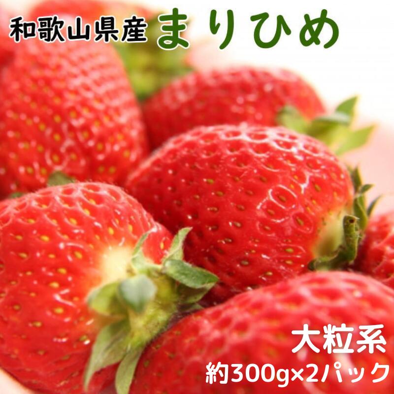 【ふるさと納税】 いちご 和歌山県産ブランドいちご「まりひめ」大粒系約300g×2パック入り  ※2025年12月中旬～2026年2月下旬頃順次発送（お届け日指定不可）/イチゴ 苺 フルーツ 紀州 和歌山