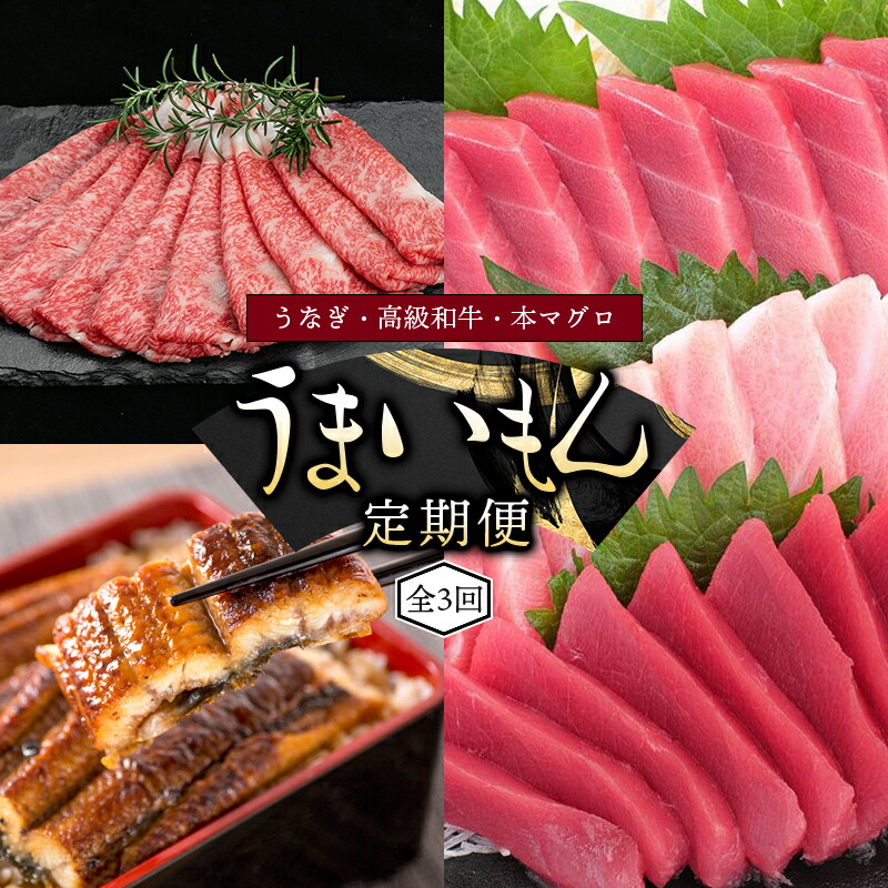 【ふるさと納税】【3ヶ月定期便】和歌山うまいもん定期便 国産うなぎ･高級和牛･本マグロの人気返礼品を3回お届け/うなぎ ウナギ 鰻 肉 牛肉 黒毛和牛 和牛 熊野牛 鮪 まぐろ マグロ 本マグロ トロ 中とろ 人気