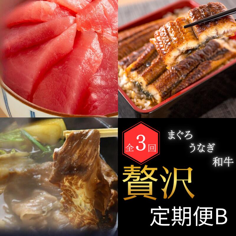 【ふるさと納税】 【全3回】 まぐろ ・ うなぎ ・ 和牛 を楽しむ贅沢定期便B / 鮪 マグロ 刺身 鰻 ウナギ 蒲焼 熊野牛 肉 牛肉 黒毛和牛 赤身 こま切れ マグロ丼 かば焼き 定期便 贅沢 おすすめ 人気|和歌山県すさみ町