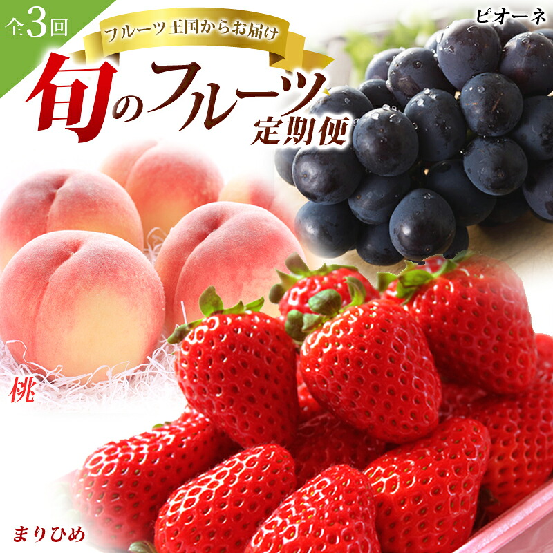 【ふるさと納税】【全3回】\フルーツ大国和歌山からお届け/ 旬のフルーツ 定期便(いちご・桃・ピオーネ)|和歌山県すさみ町